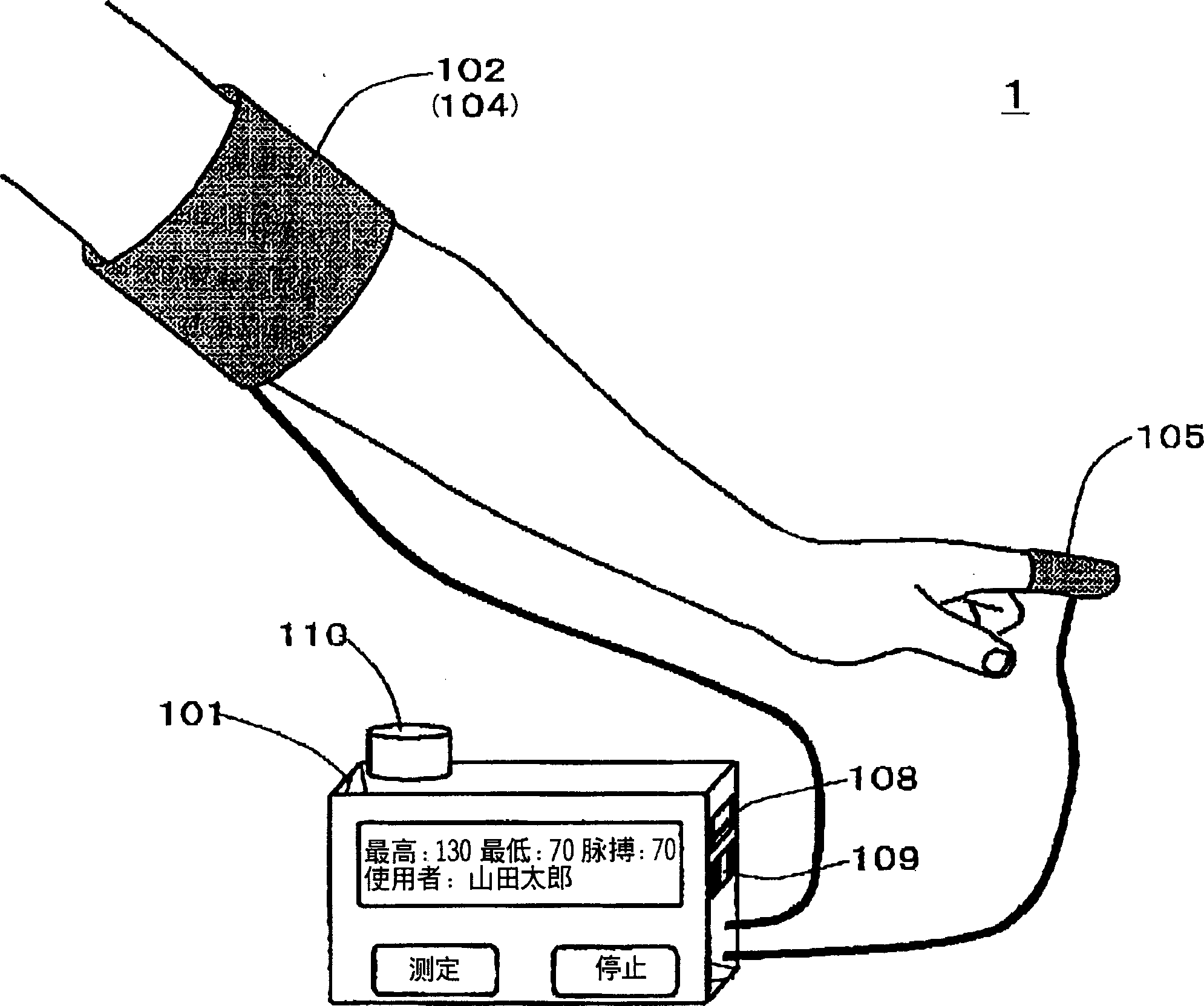 Body information measuring apparatus and sports equipment