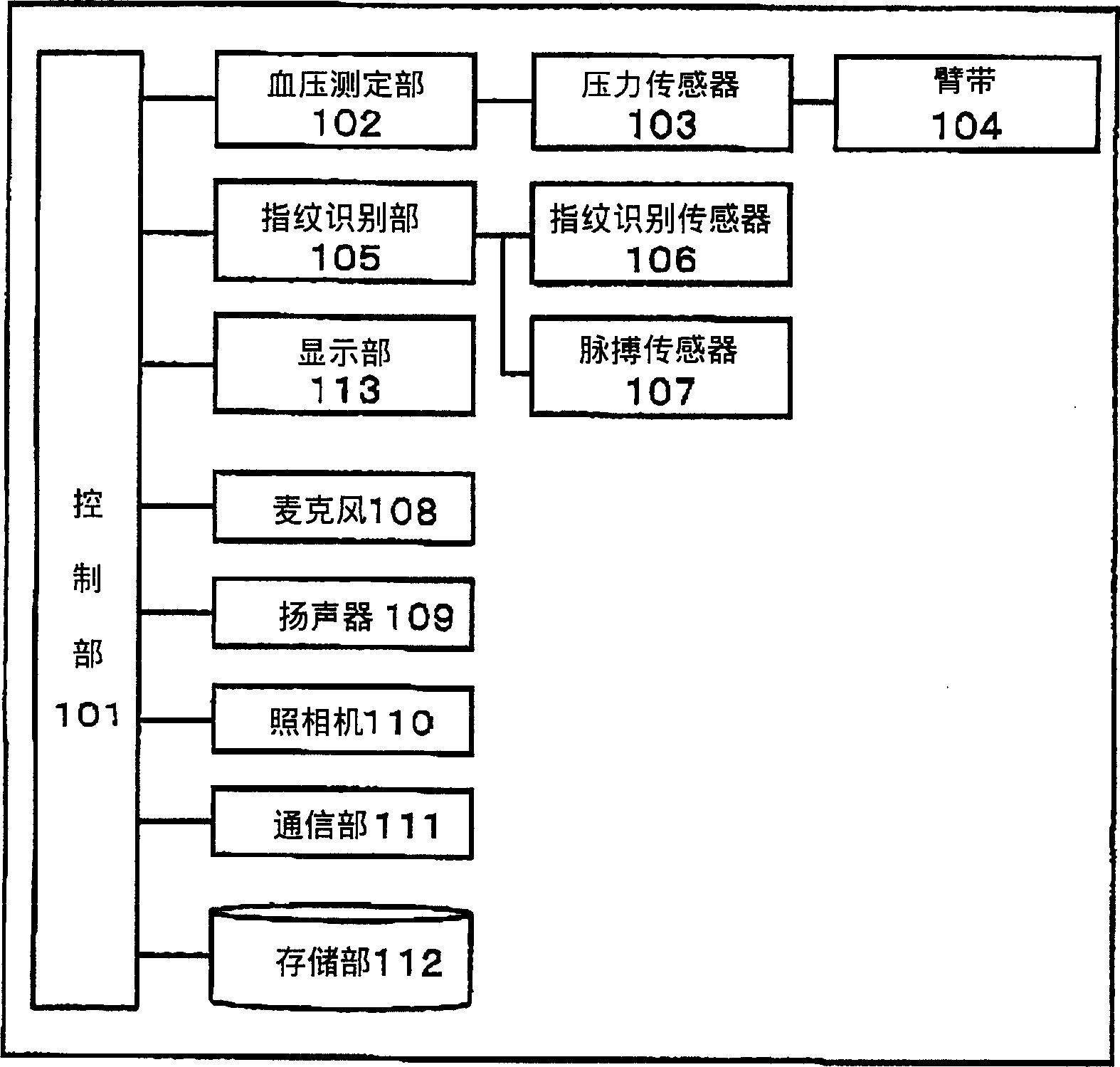 Body information measuring apparatus and sports equipment