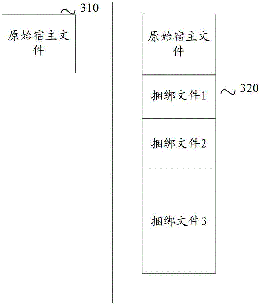 Bundling method and apparatus for files into host files