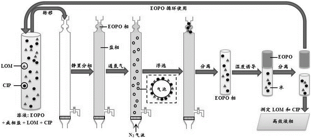 Synchronous separation/enriched pretreatment method used for detecting trace fluoroquinolones in environmental water sample