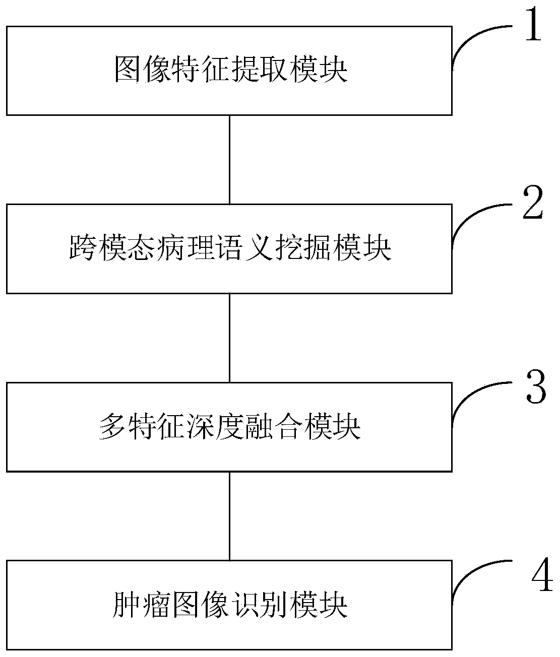 Breast cancer image recognition method and system based on multi-stage multi-feature deep fusion