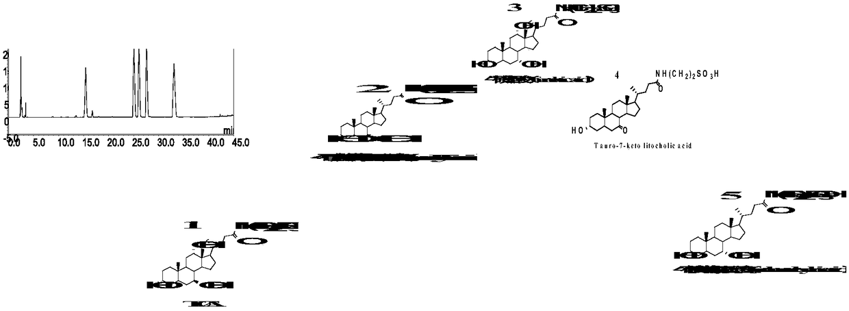 Artificial bear bile powder and quality evaluation method thereof