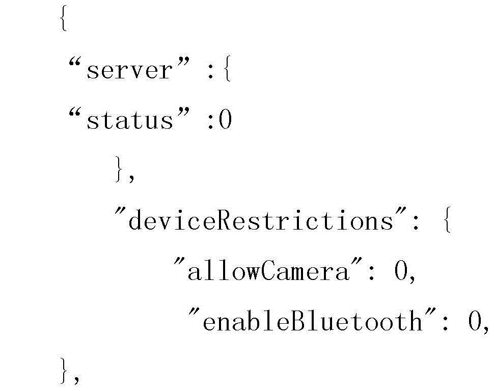 Management system and method for mobile terminal