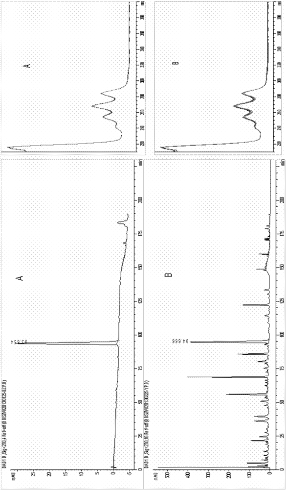 Determination method for HPLC specific chromatogram of codonopsis tubulosa kom dried root