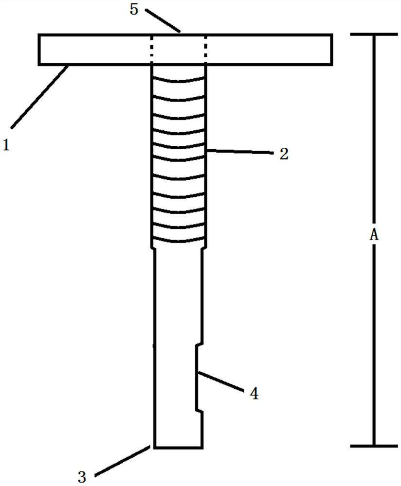 Bone taking and grafting beating device for femoral marrow opening