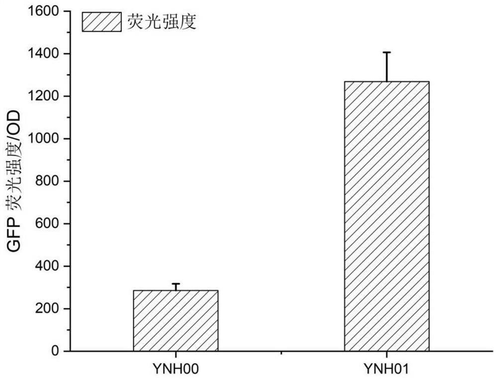 Method for integrating yarrowia lipolytica genome based on non-homologous end-linking mechanism