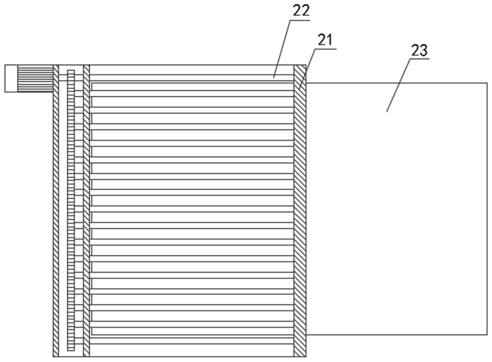 Automatic kumquat screening equipment