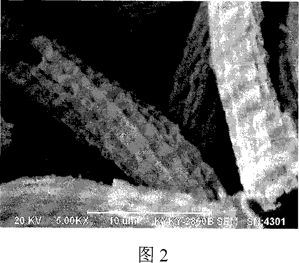 Method of preparing titanium dioxide, stannum dioxide and doping composite fiber material thereof