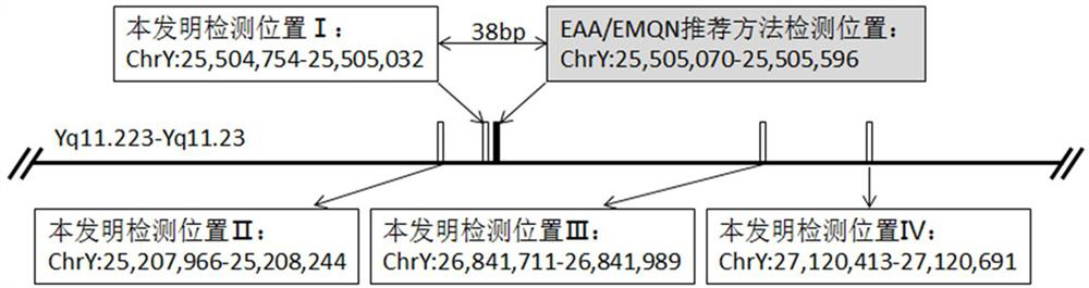 A detection method and application of human y chromosome label site sy1291