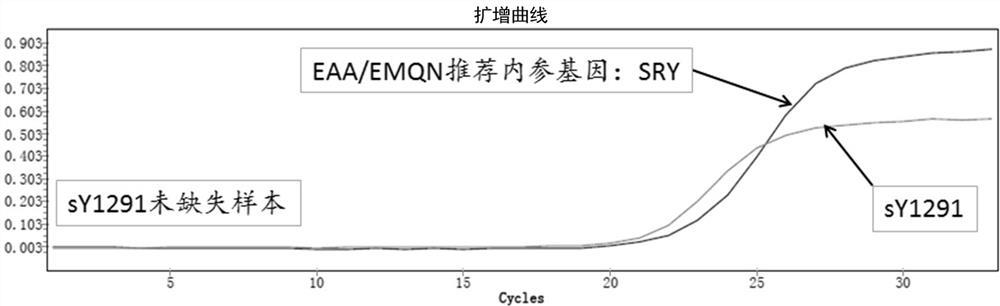 A detection method and application of human y chromosome label site sy1291