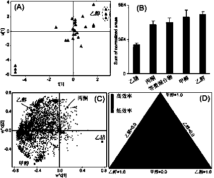 Chemical derivation-based detection method for hemolymph metabolin of migratory locust