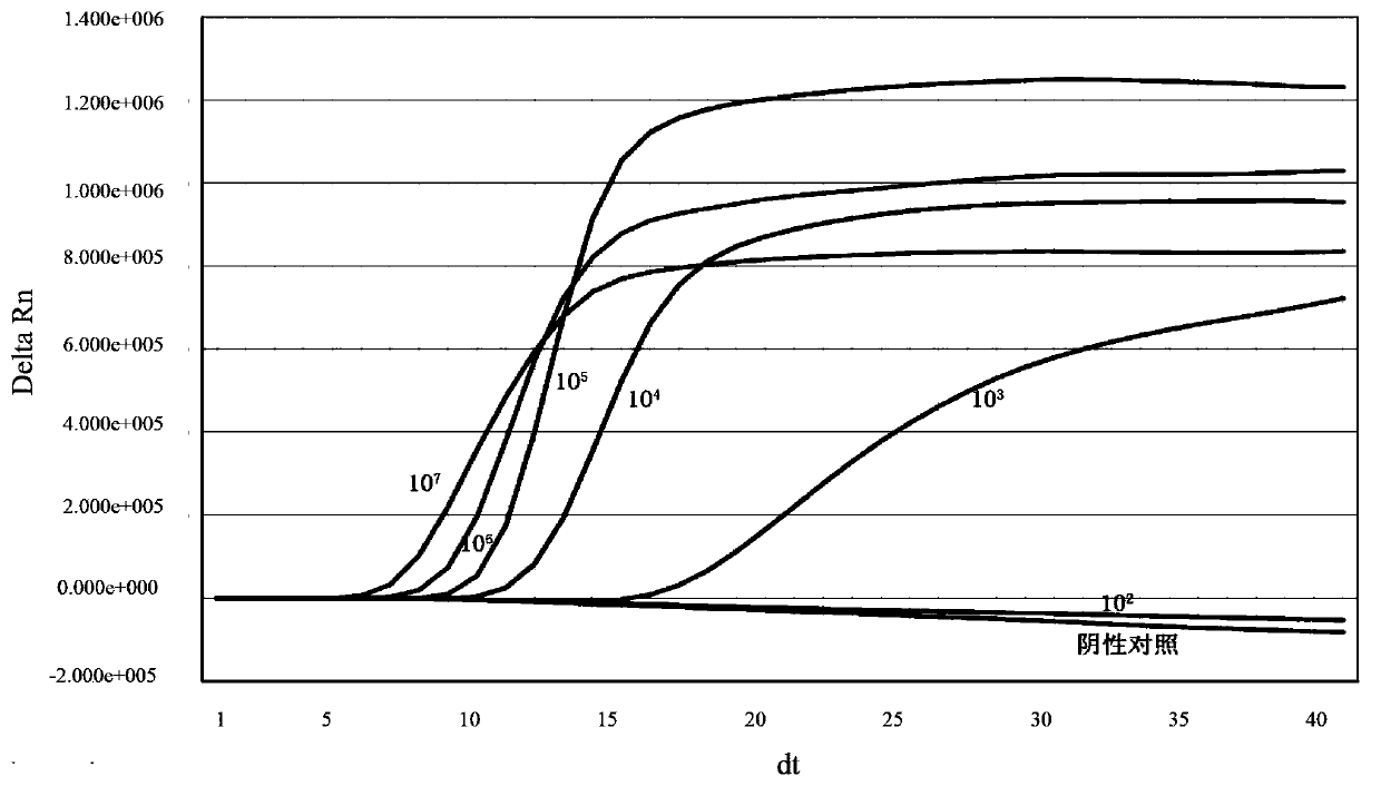 RNA isothermal amplification nucleic acid detection kit aiming at Escherichia coli 0157