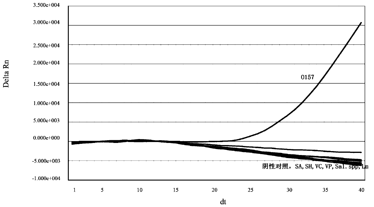 RNA isothermal amplification nucleic acid detection kit aiming at Escherichia coli 0157