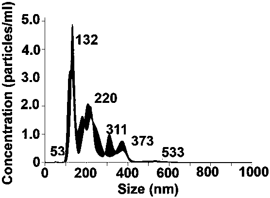 Extracellular vesicle-containing injectable hydrogel for treating erectile dysfunction and preparation method of extracellular vesicle-containing injectable hydrogel