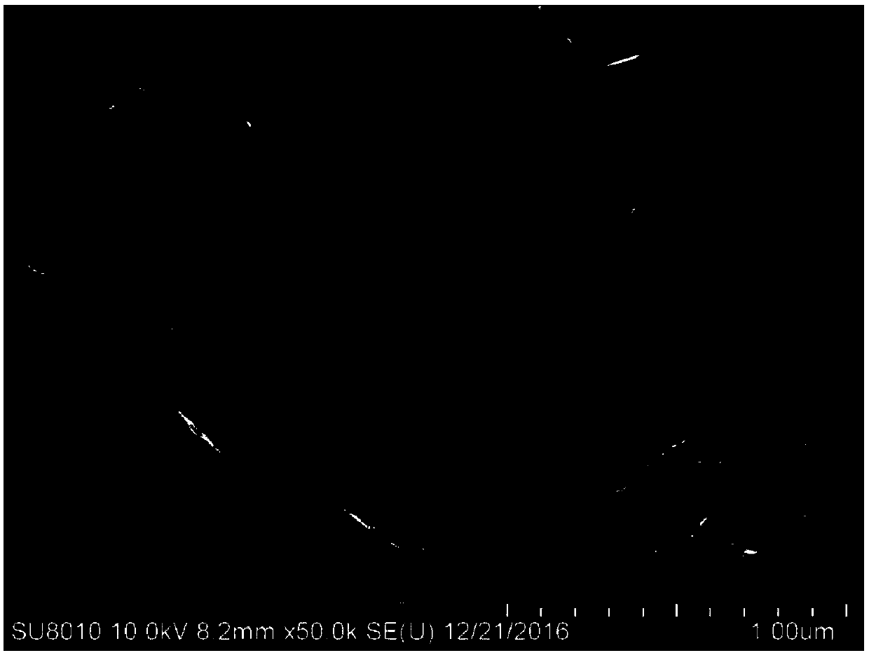 Preparation method for silver nanoflower with surface Raman enhancement effect