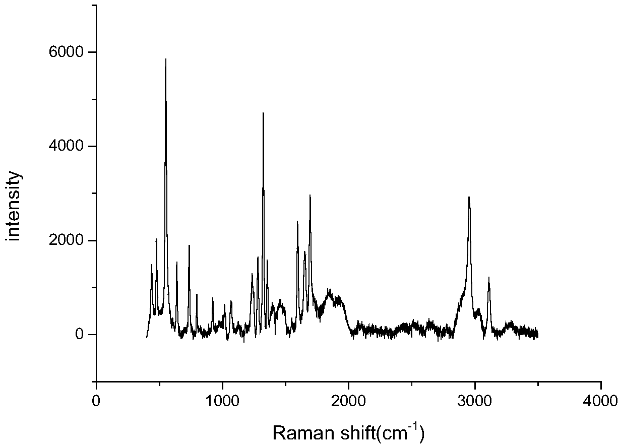 Preparation method for silver nanoflower with surface Raman enhancement effect