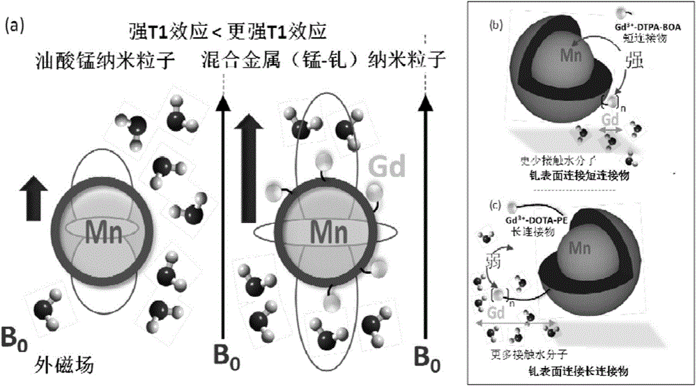 Integrin targeted MnOL-Gd hybrid bimetallic paramagnetic nanocolloid and application in magnetic resonance imaging of angiogenesis