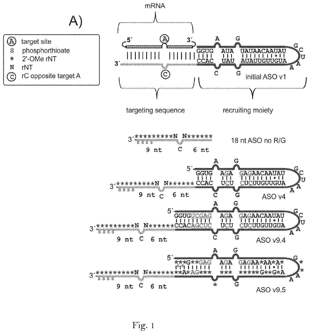 Artificial nucleic acids for RNA editing