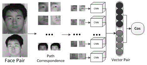 Face image feature extraction and comparison method based on deep learning