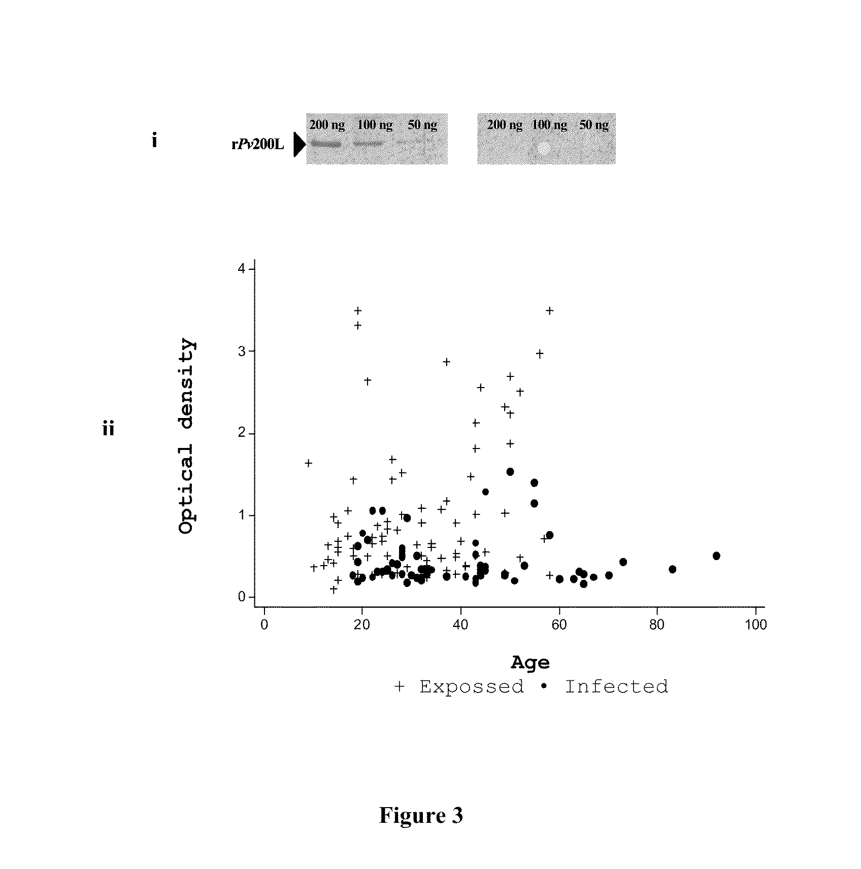 Vaccine against malaria, based on the 200l subuniti of plasmodium vivax msp1 protein