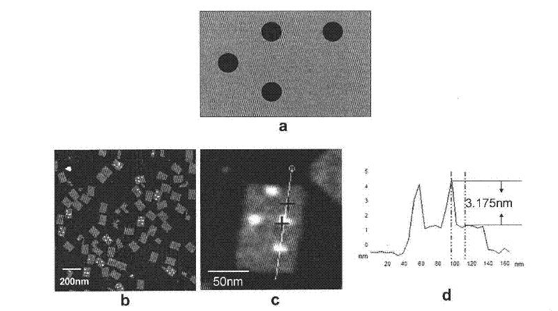 Method related to DNA (Deoxyribose Nucleic Acid) folded paper and structure and application thereof