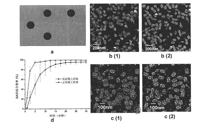 Method related to DNA (Deoxyribose Nucleic Acid) folded paper and structure and application thereof