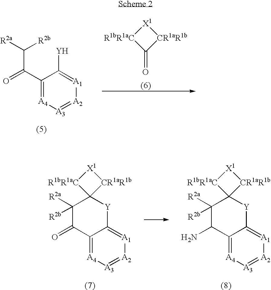 Antagonists of the Vanilloid Receptor Subtype 1 (VR1) and Uses Thereof