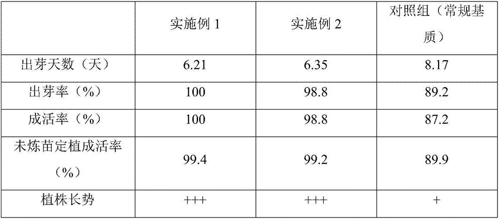 Okra seedling growing substrate based on crab mushroom residues and preparation method and application thereof