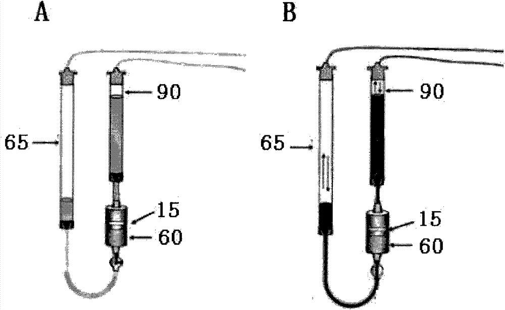 Perfusion bioreactor system