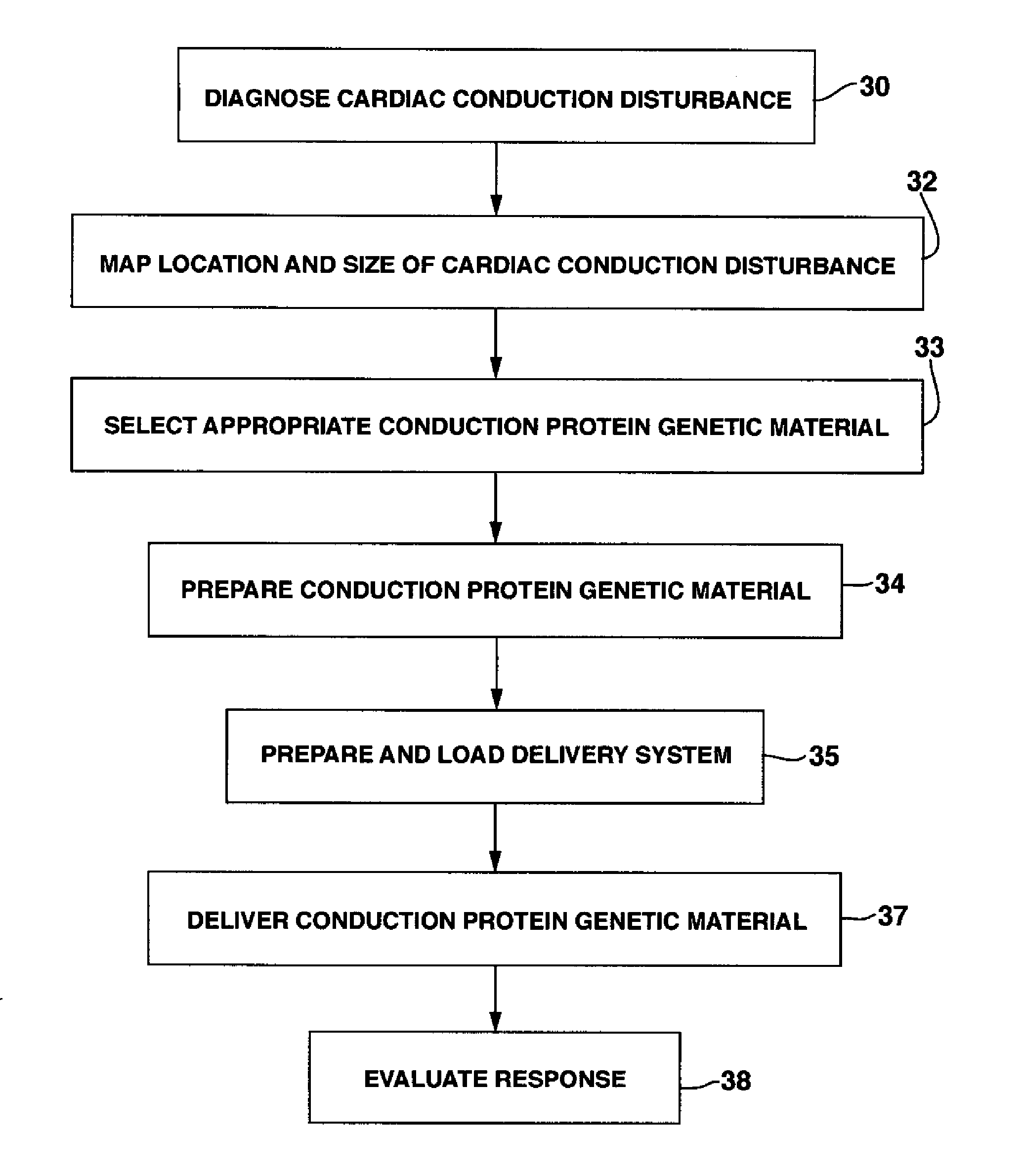 System and Method for Genetically Treating Cardiac Conduction Disturbances