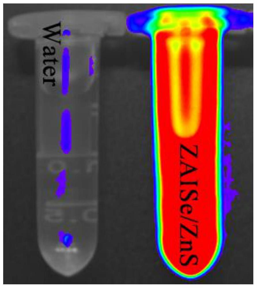 Preparation method of dual-emission quantum dot and application of dual-emission quantum dot in biological imaging