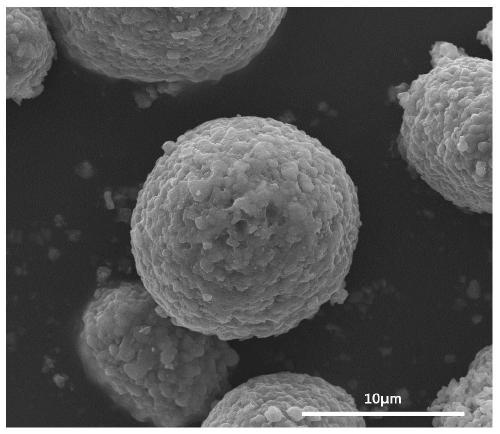 Modified lithium ion battery positive electrode material coated with strong electronegative organic matter layer and preparation method of material