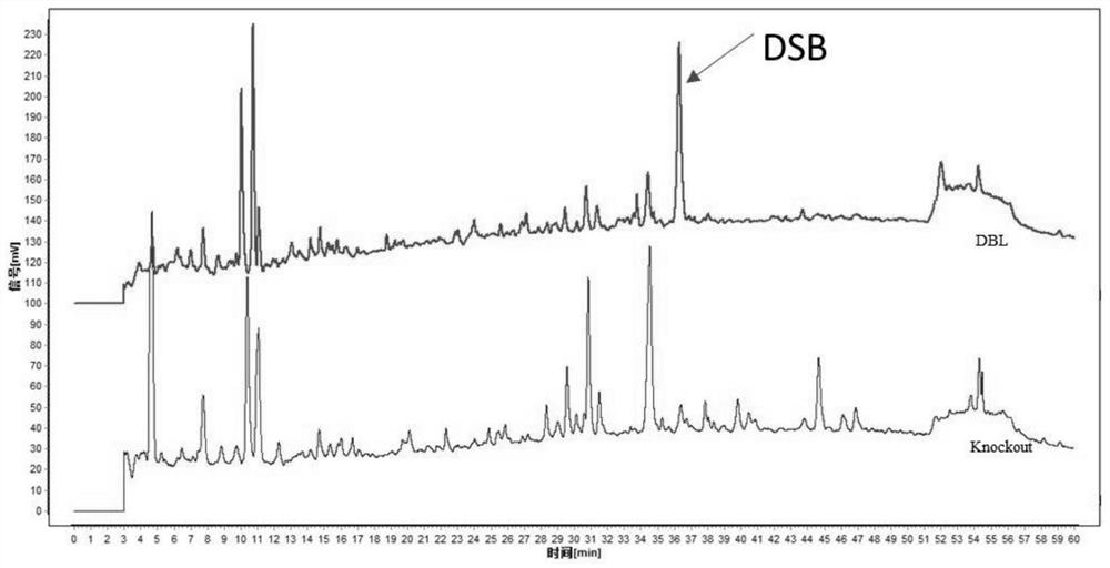 Hepatotoxic component of airpotato yam and determination method thereof