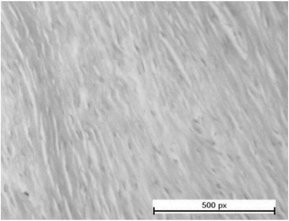 Method for preparing tissue engineering-oriented artificial tendon transplant based on artificial tendon scaffold material