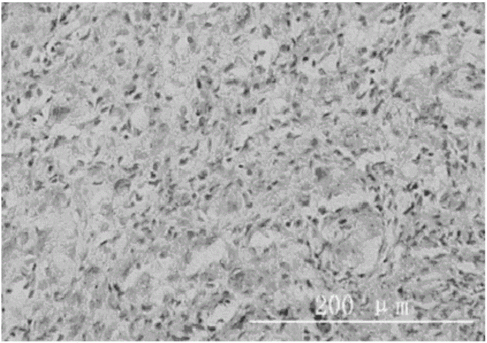 Method for preparing tissue engineering-oriented artificial tendon transplant based on artificial tendon scaffold material