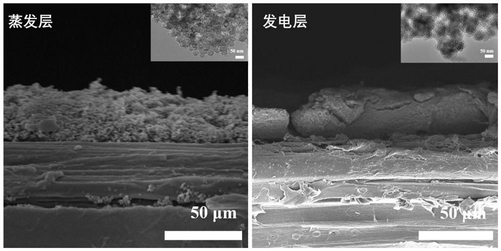 Preparation method of wood-based evaporation-hydrovoltaic cooperative power generation device with sandwich structure