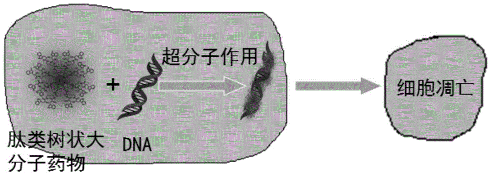 Peptide dentritic macromolecular drug and preparation method and application thereof