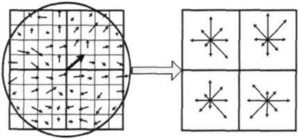 Calligraphy inverse hanging prevention method based on SIFT (Scale invariant feature Transform)