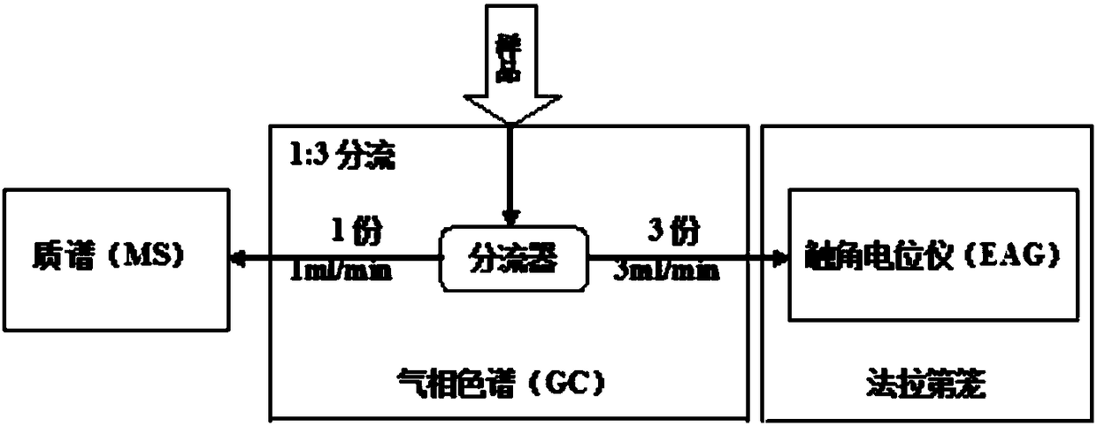 Method for analyzing insect semiochemicals by combining GC-MS and electroantennography