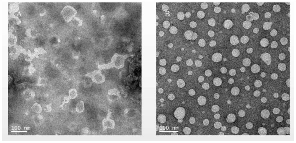 Liposome, dispersion liquid containing liposome, and preparation methods and application of liposome and dispersion liquid