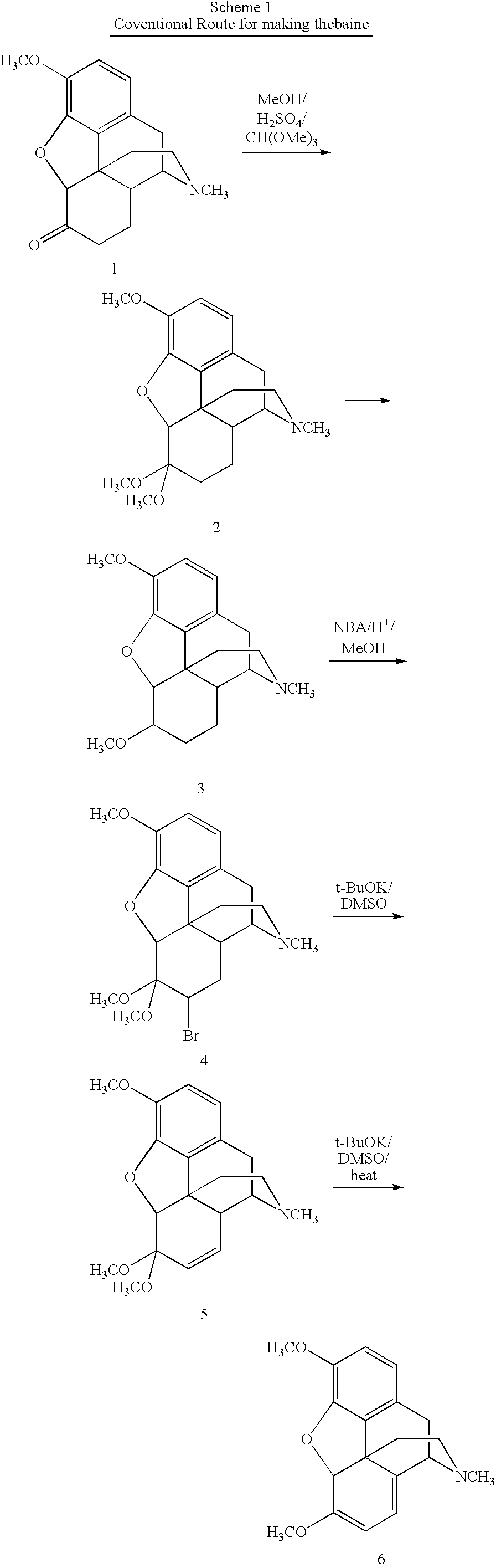 Synthetic route to 14-hydroxyl opiates through 1-halo-thebaine or analogs