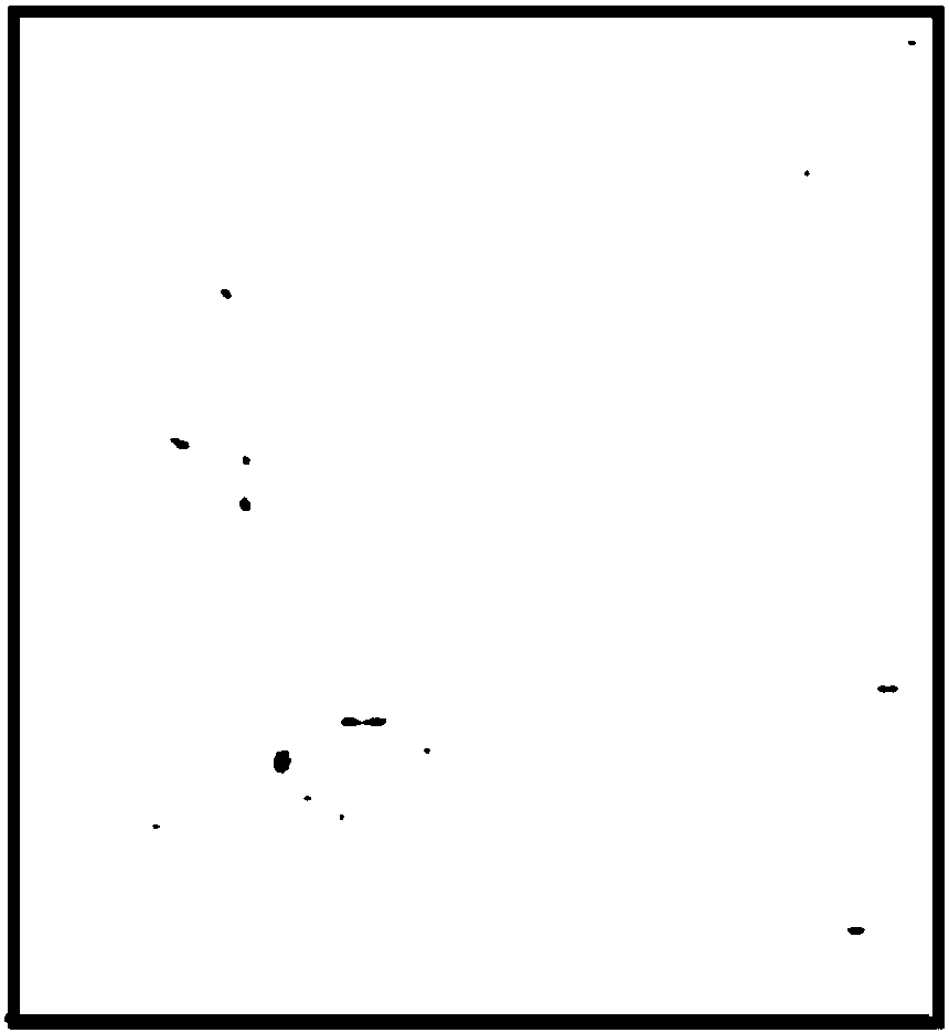 Bottled liquid foreign matter detection method and system