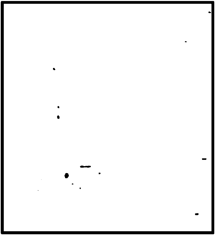 Bottled liquid foreign matter detection method and system