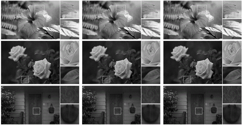 Image deblurring method based on multi-parameter regular optimization model