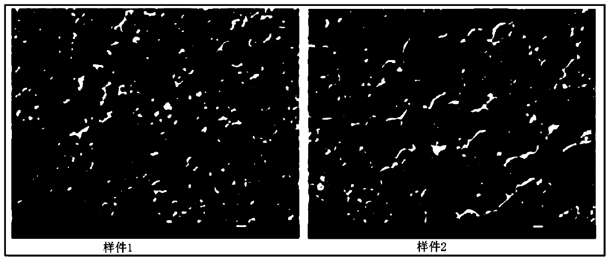 Aluminosilicate auxiliary deposition silver coating planting abutment ceramic material and preparation method thereof