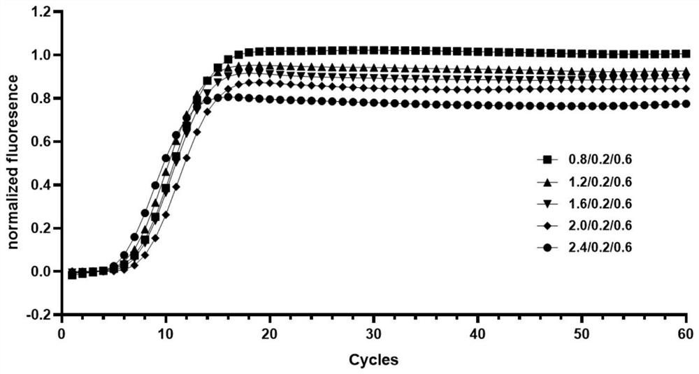 Primer composition and detection method for detecting novel coronaviruses