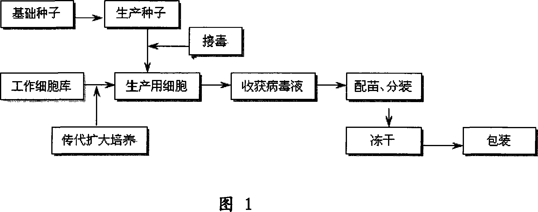 Method for producing swine fever live vaccine with cell line