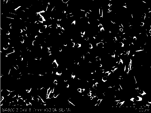 Zinc oxide/polypyrrole nano composite resistance-type film gas sensor and production method thereof