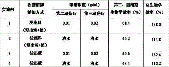 Pleurotus nebrodensis culture method