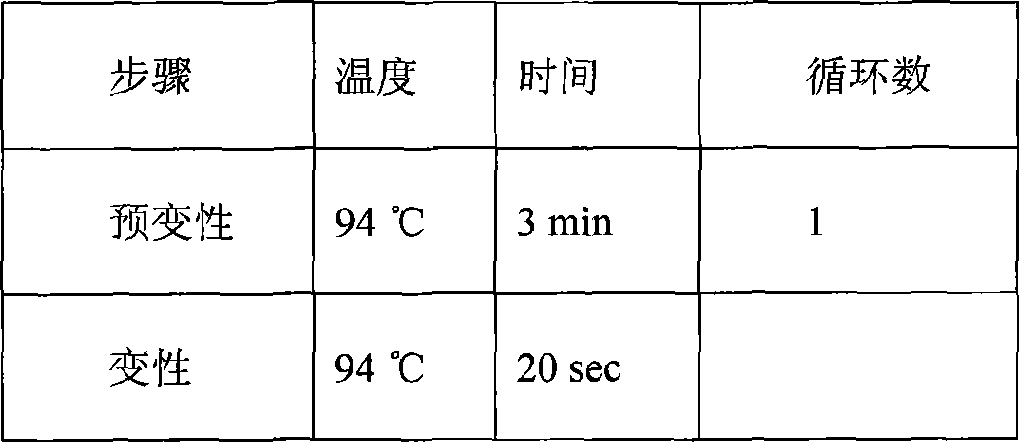 EGFR gene extron 20 mutational detecting probe, liquid phase chip and detecting method thereof